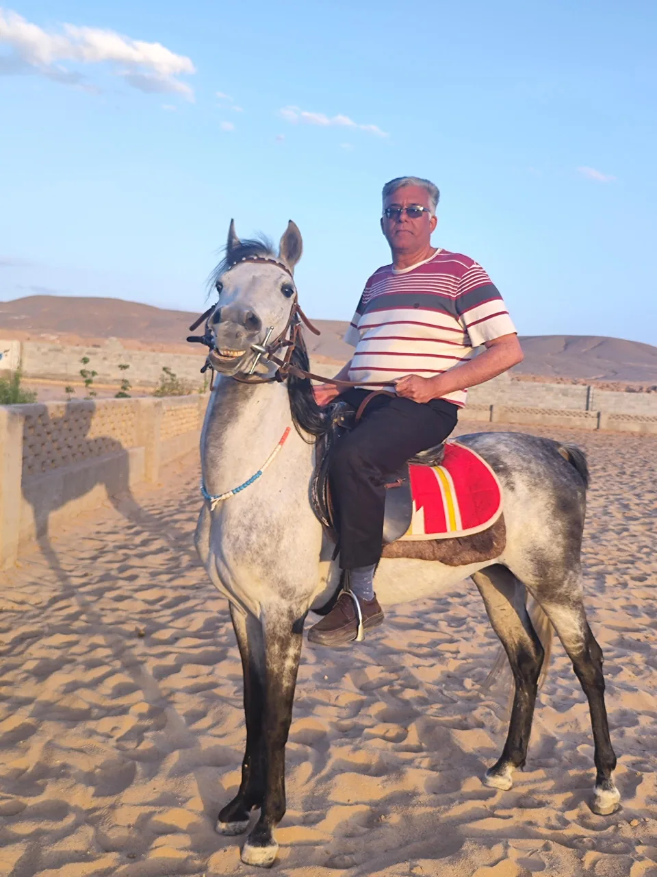 باشگاه ورزشی سوارکاران کویر - مجموعه و سالن ورزشی در یزد - تصویر 2