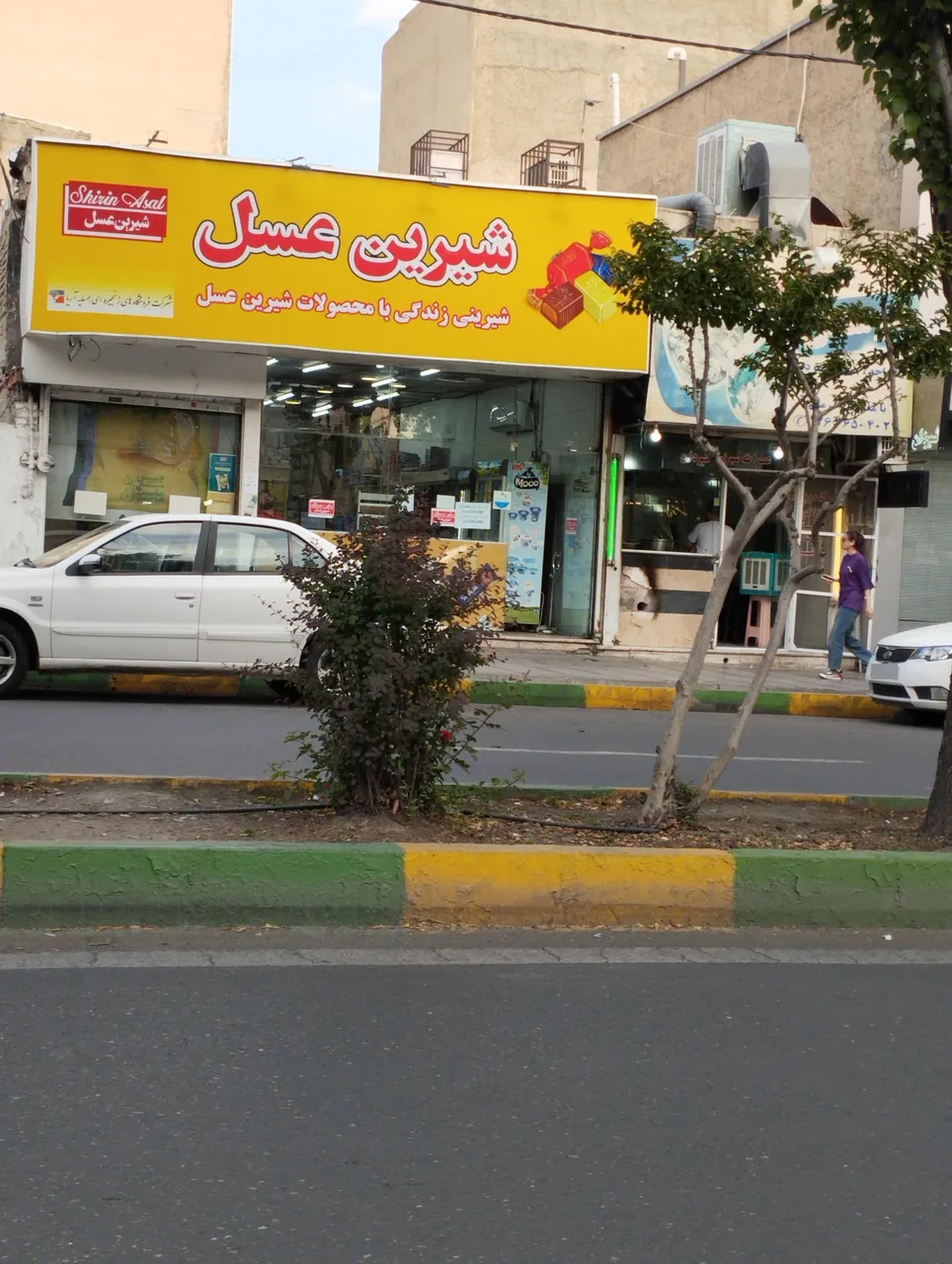 شیرین عسل - تصویر 2