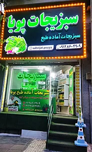 سبزیجات پویا