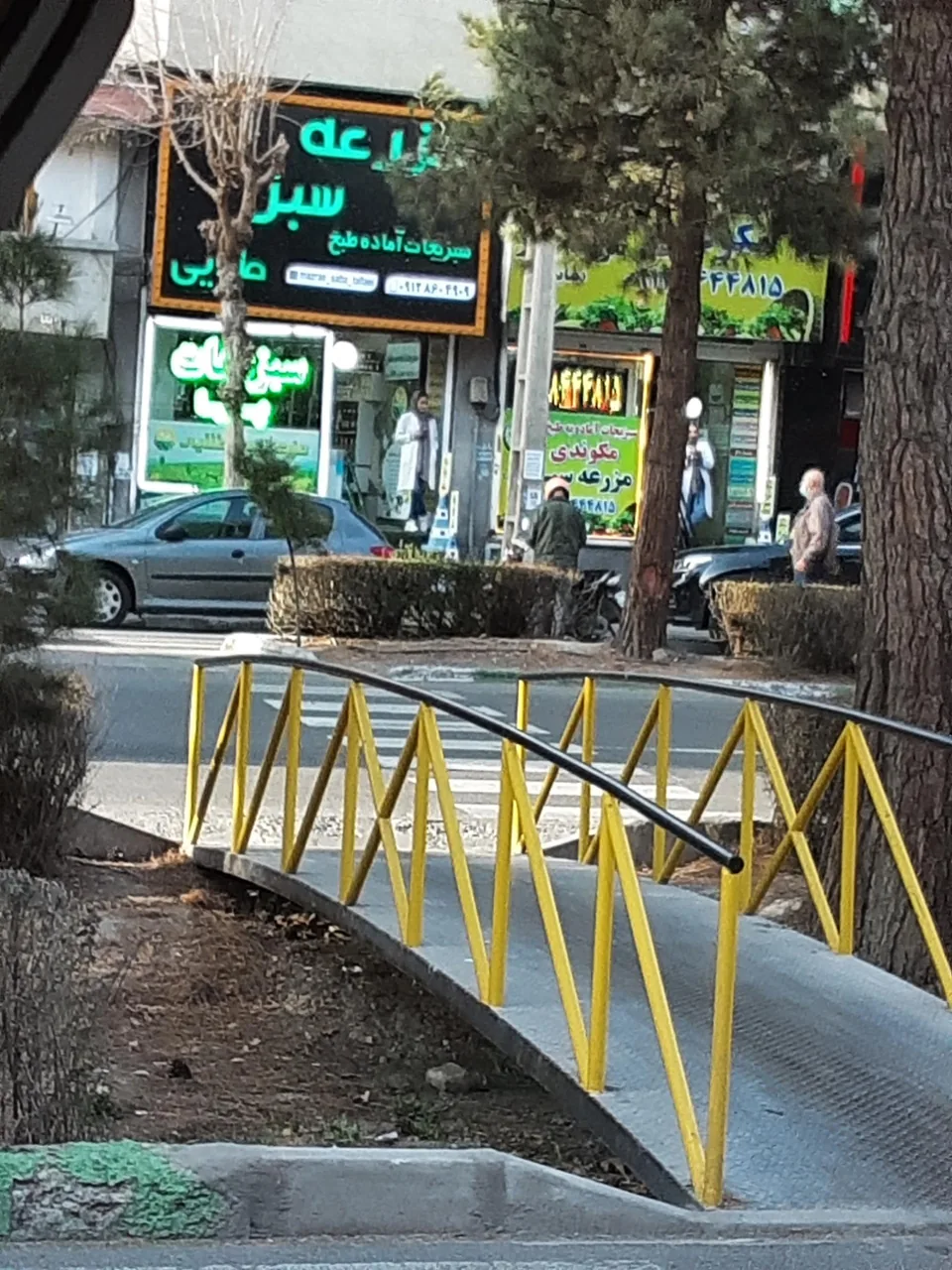 سبزیجات پویا - تصویر 2