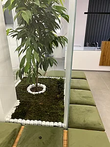 مطب دکتر طباطبائی