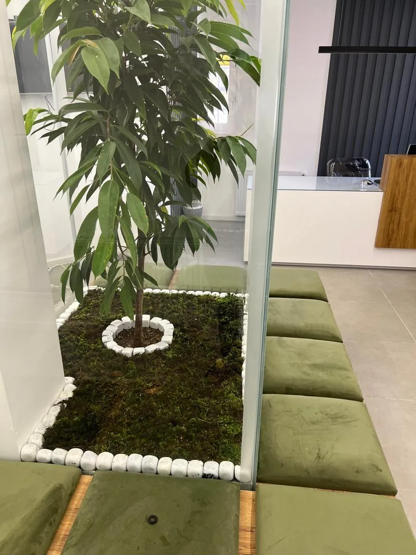 مطب دکتر طباطبائی