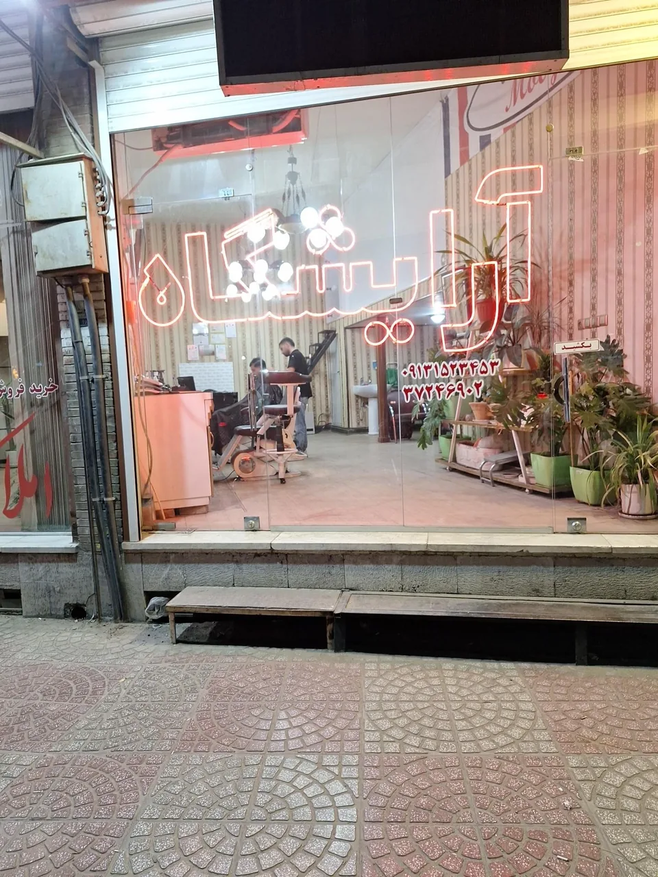 پیرایش موژان - تصویر 2