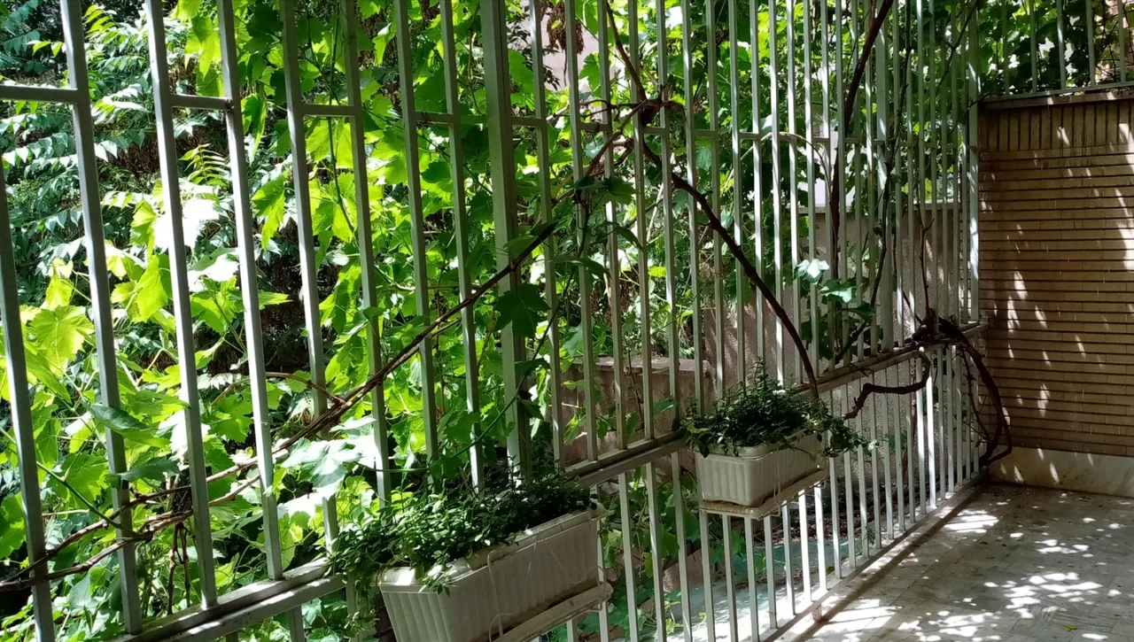 موسسه فرهنگی هنری بوم زنگ رنگ - تصویر 3
