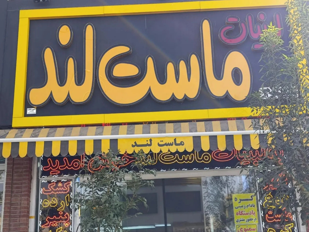 لبنیات ماست لند