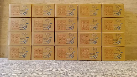 آرند پلاست