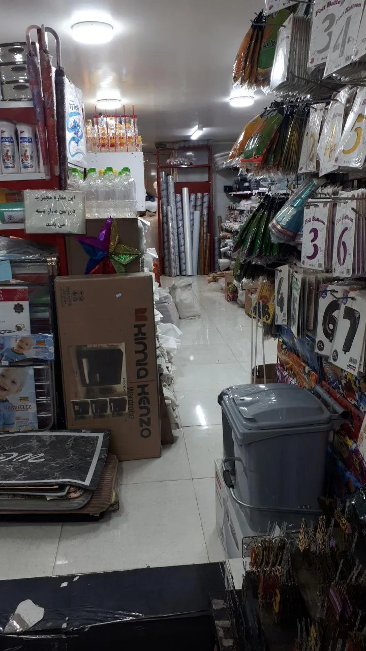 پلاسکو برادران طالبی - تصویر 4