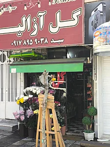 گل آزالیا