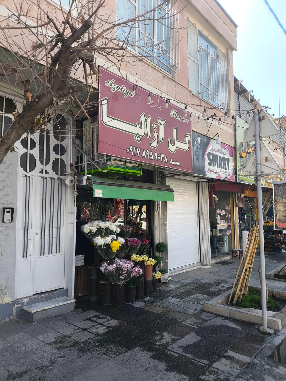 گل آزالیا - تصویر 2
