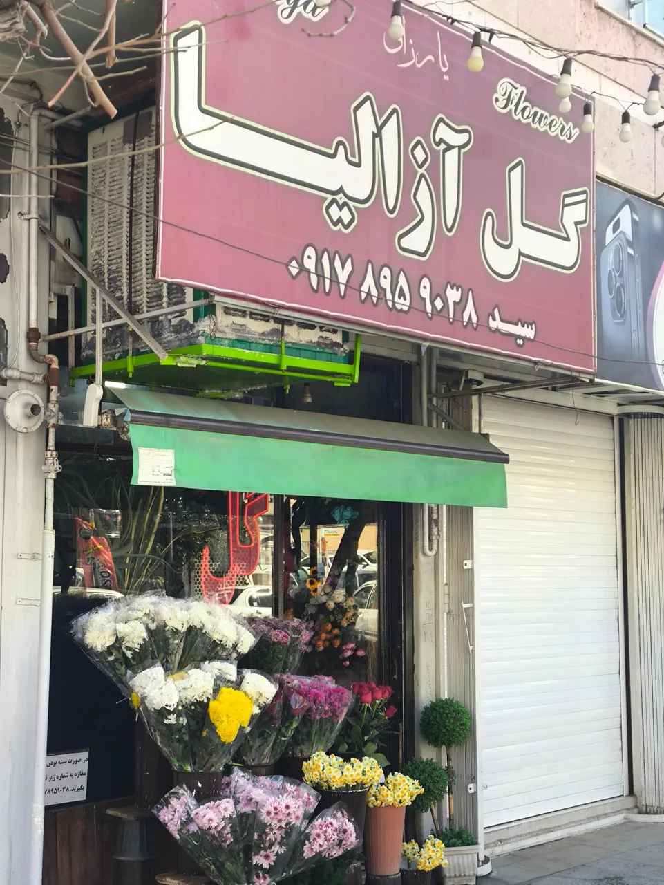 گل آزالیا - تصویر 3