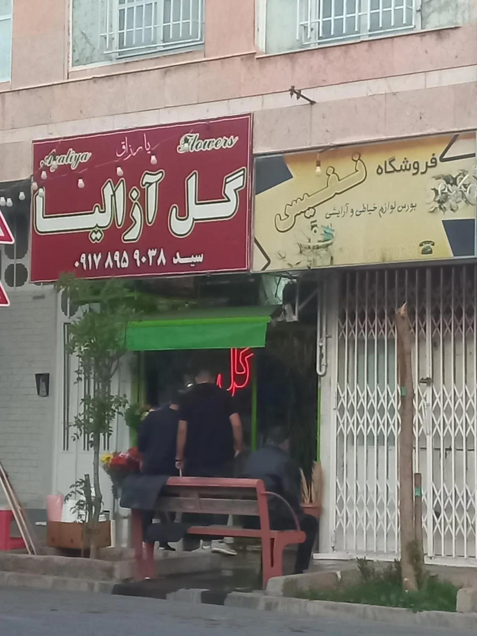 گل آزالیا - تصویر 4