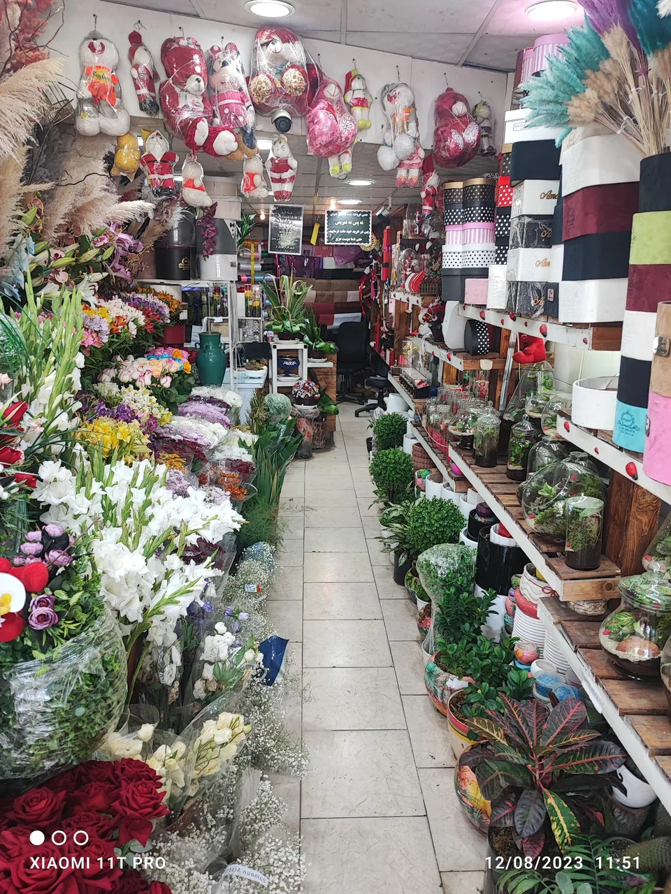 گلسرای لاله - تصویر 3