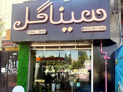 سینا گل