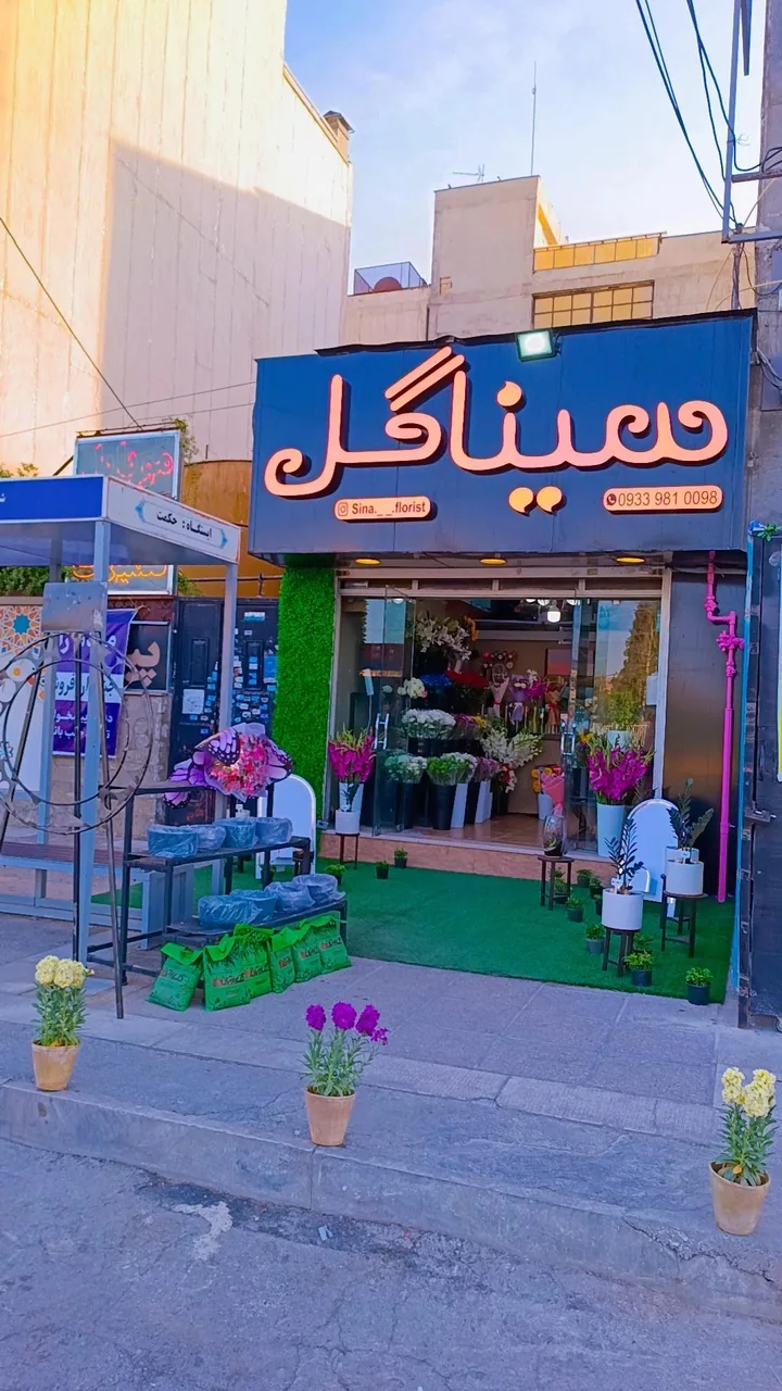 سینا گل - تصویر 2
