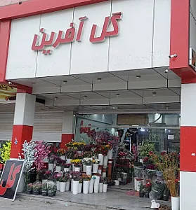 گل آفرین
