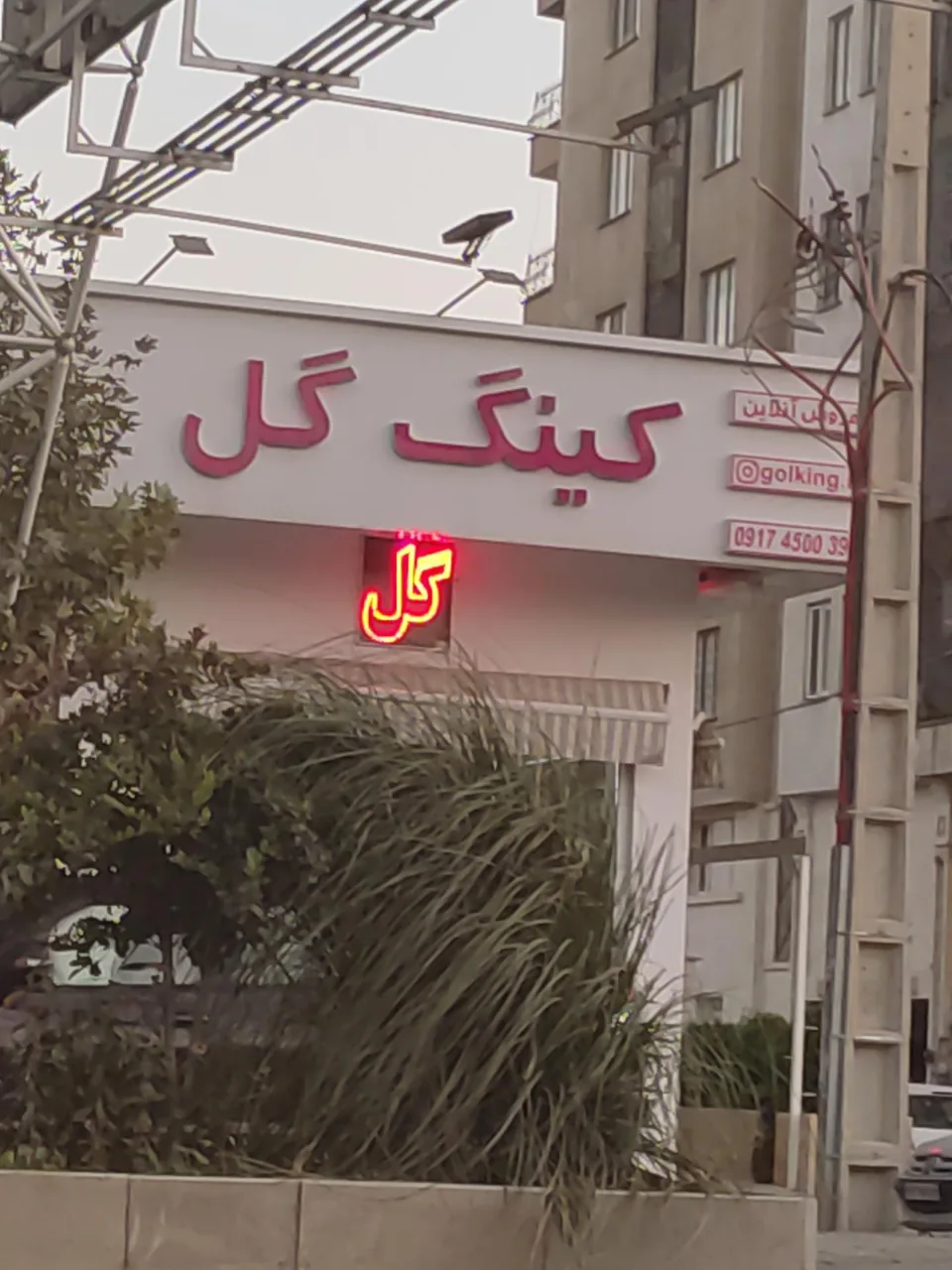 کینگ گل - تصویر 2