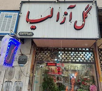 گل آزالیا