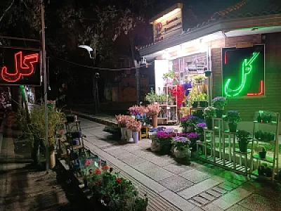 گل پاپیتال