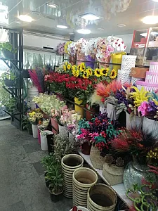 گل وزرا