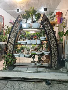 گل فروشی سوسن