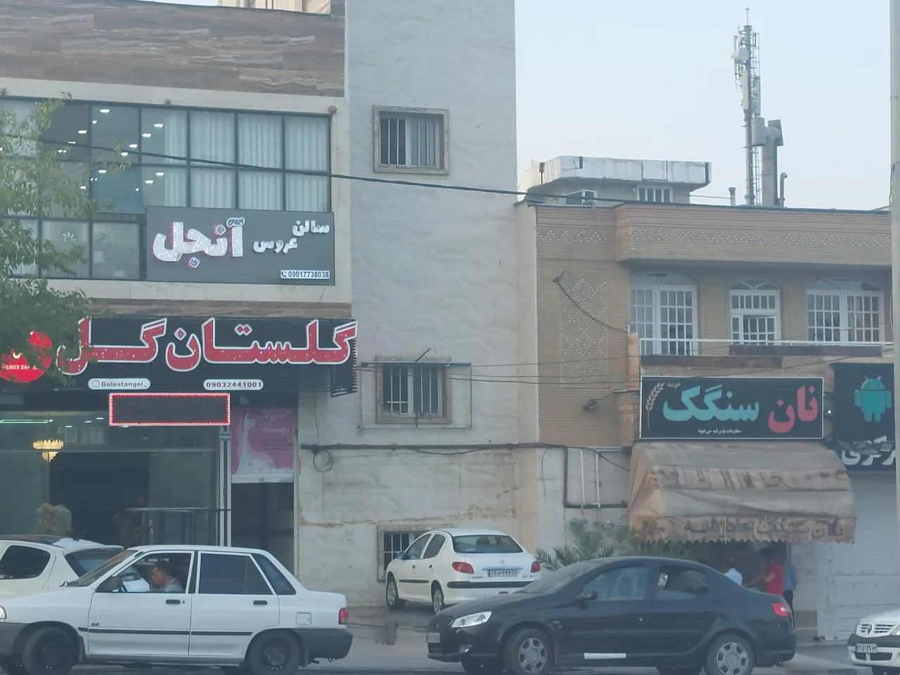 گلستان گل صادق