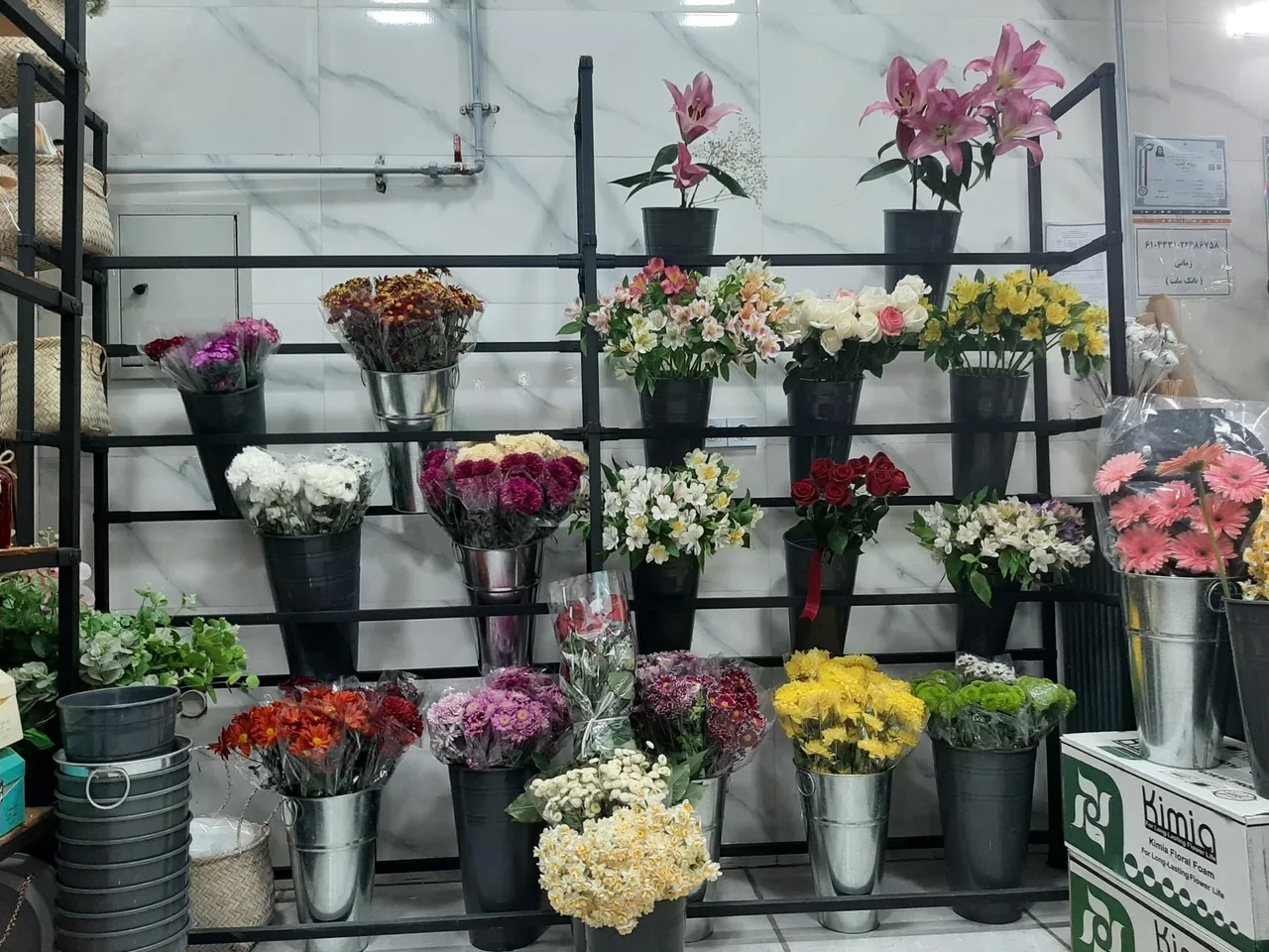رزاگل - تصویر 2