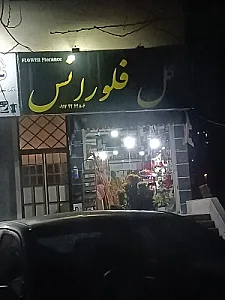 گل فلورانس