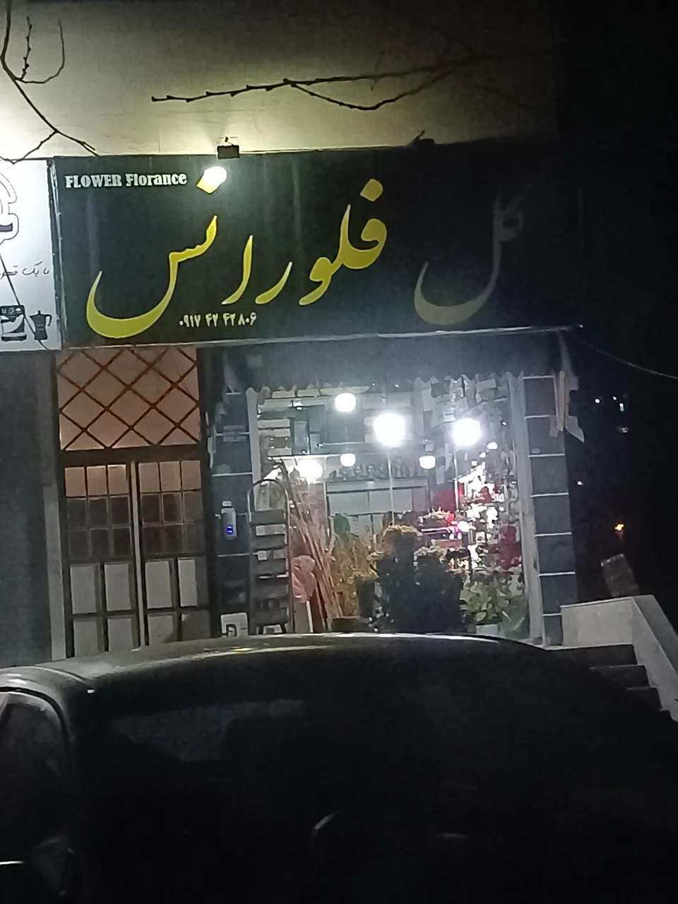 گل فلورانس