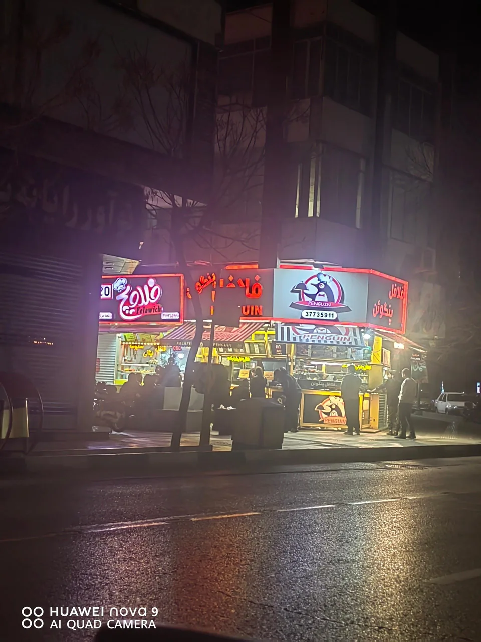فلافل پنگوئن - تصویر 2