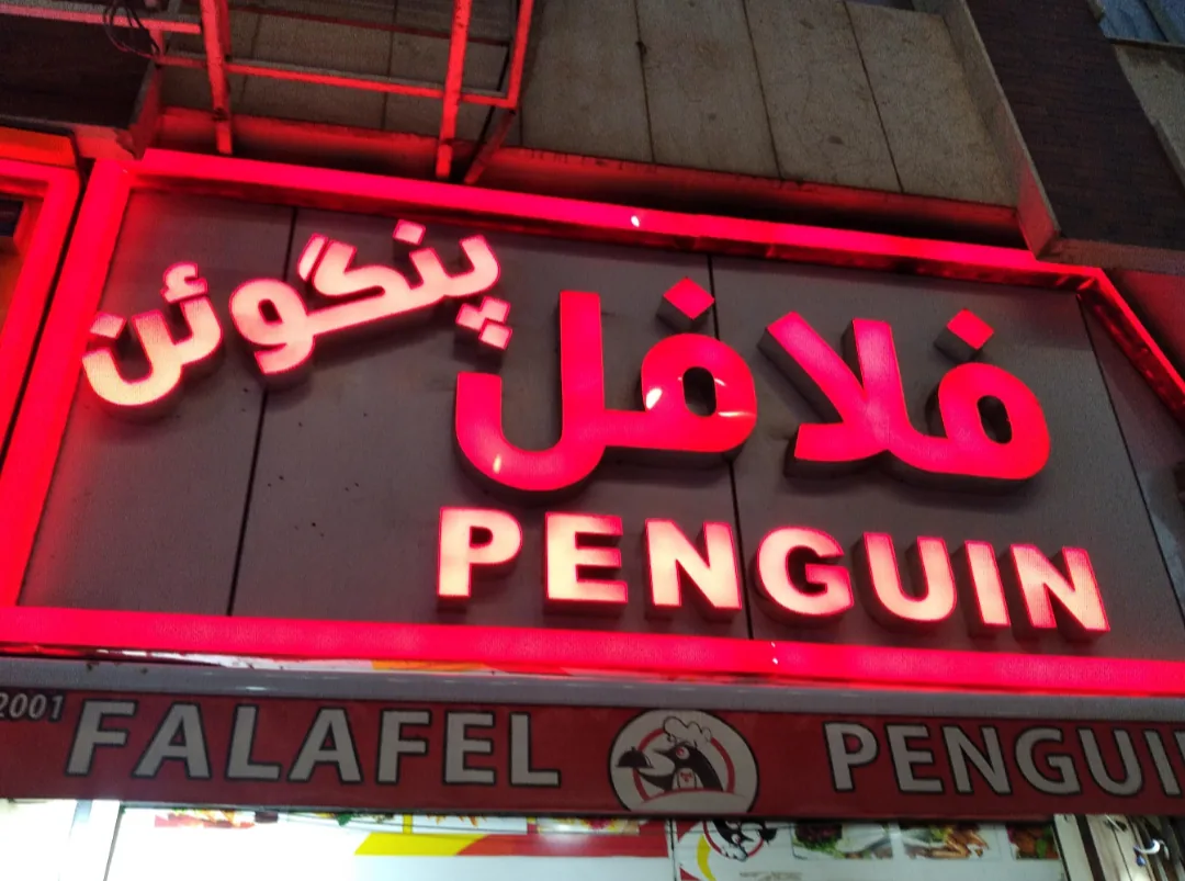 فلافل پنگوئن - تصویر 3