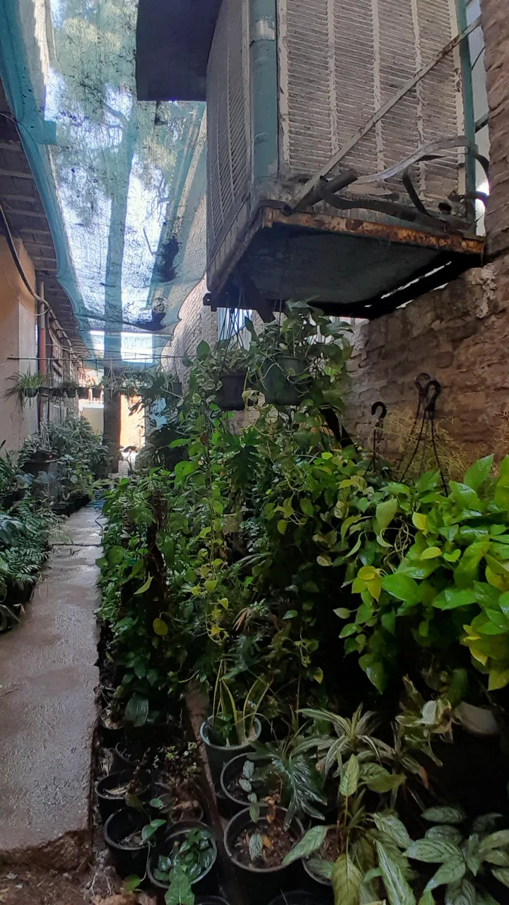 هنرستان نمونه دولتی طالقانی - تصویر 4