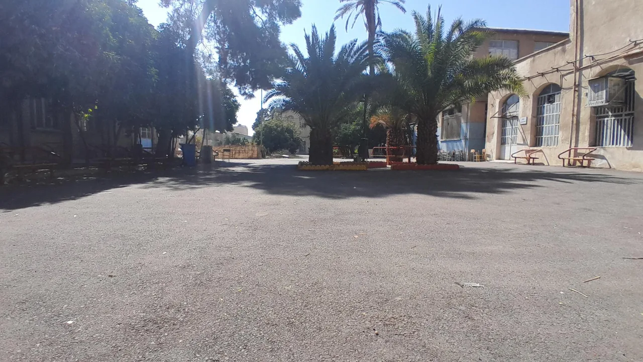 هنرستان نمونه دولتی طالقانی - تصویر 5