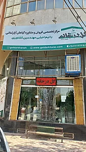 گل در خانه