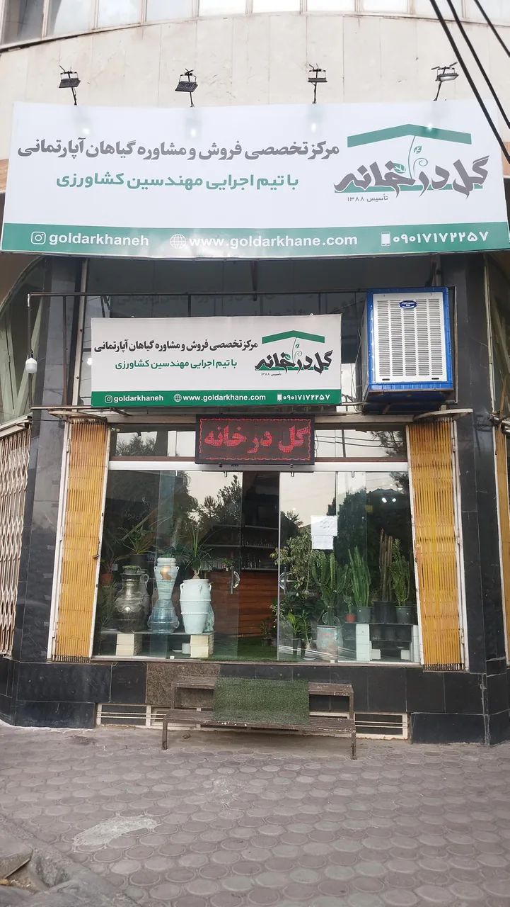 گل در خانه - تصویر 2