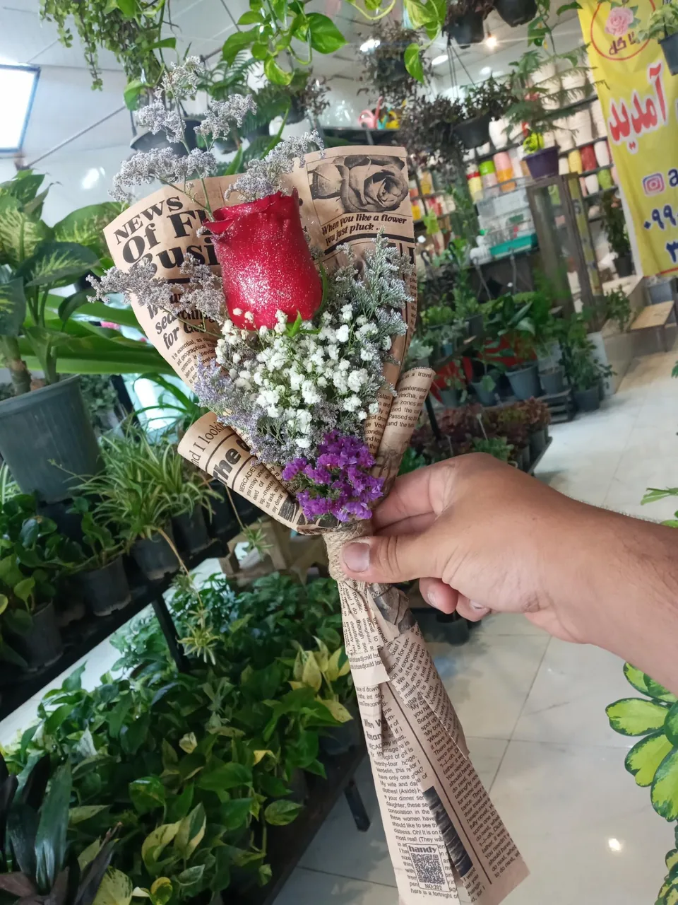 آرتا گل - تصویر 5