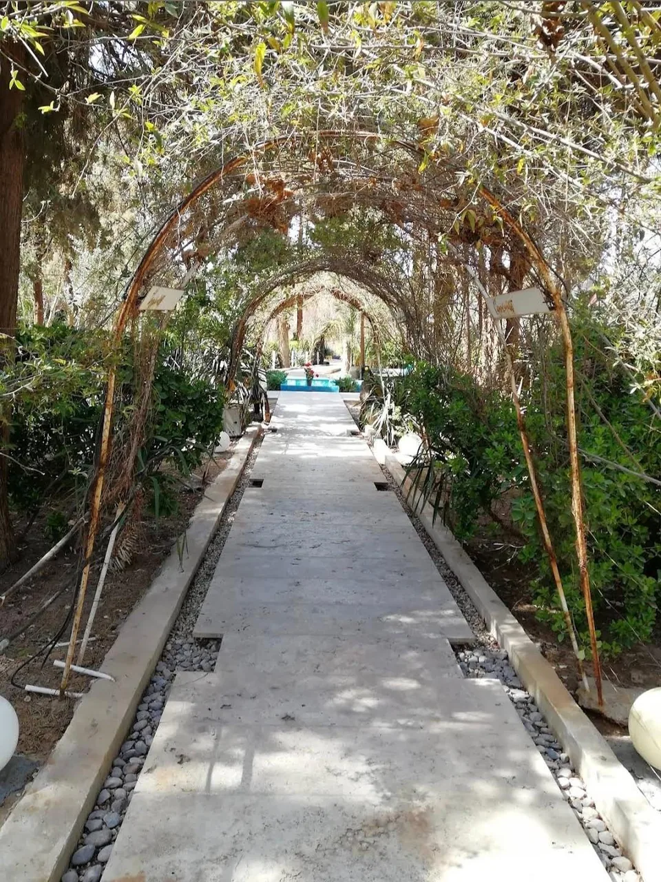 هتل پارسیان یزد - تصویر 4