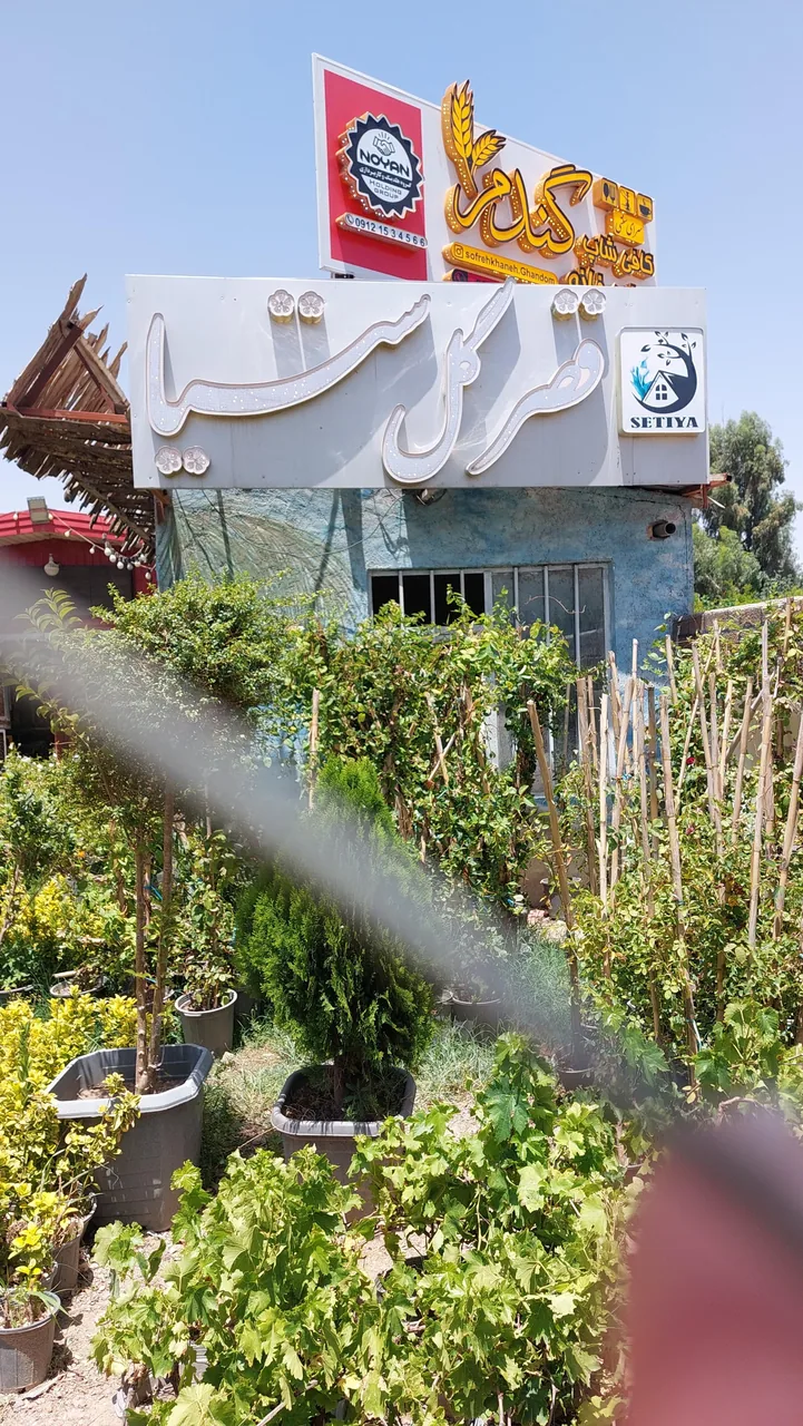 قصر گل ستیا - تصویر 2