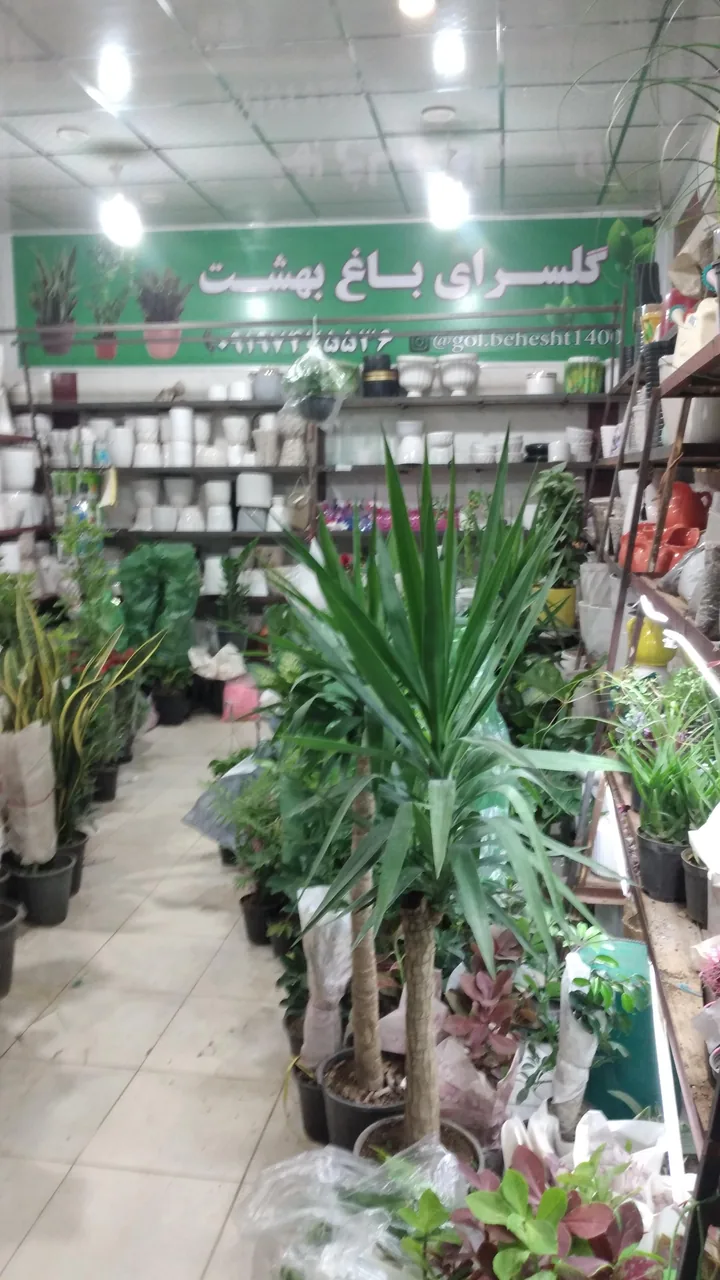 گل سرای باغ بهشت - تصویر 2