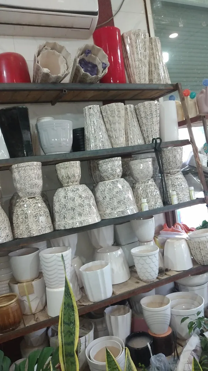 گل سرای باغ بهشت - تصویر 3