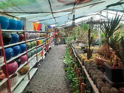 گلسرای دشت بهشت
