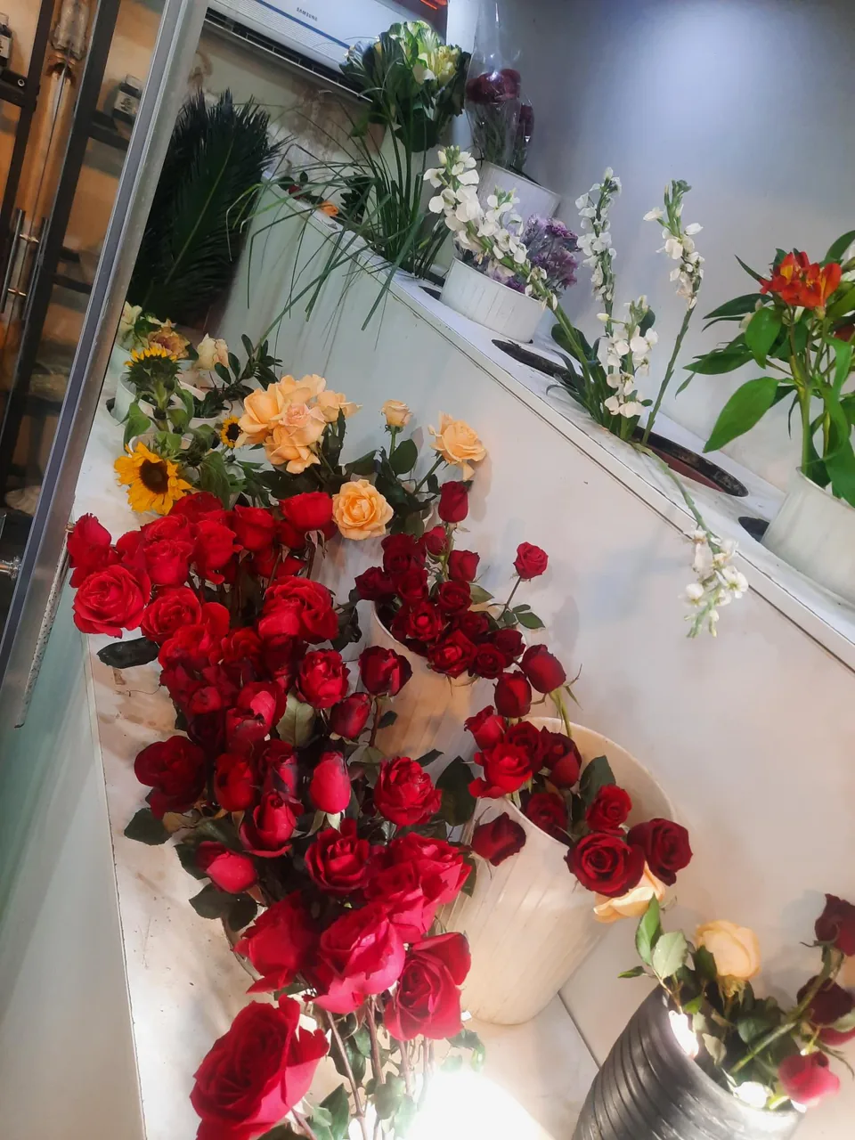 گلسرای دشت بهشت - تصویر 5