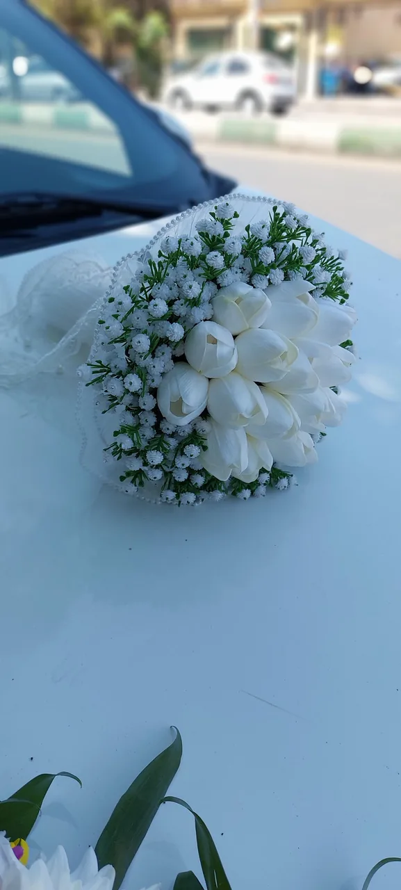 گلفروشی آرالیا