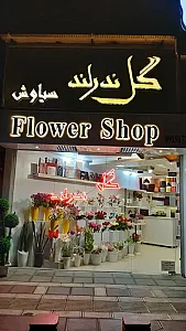 گل فروشی ندرلند