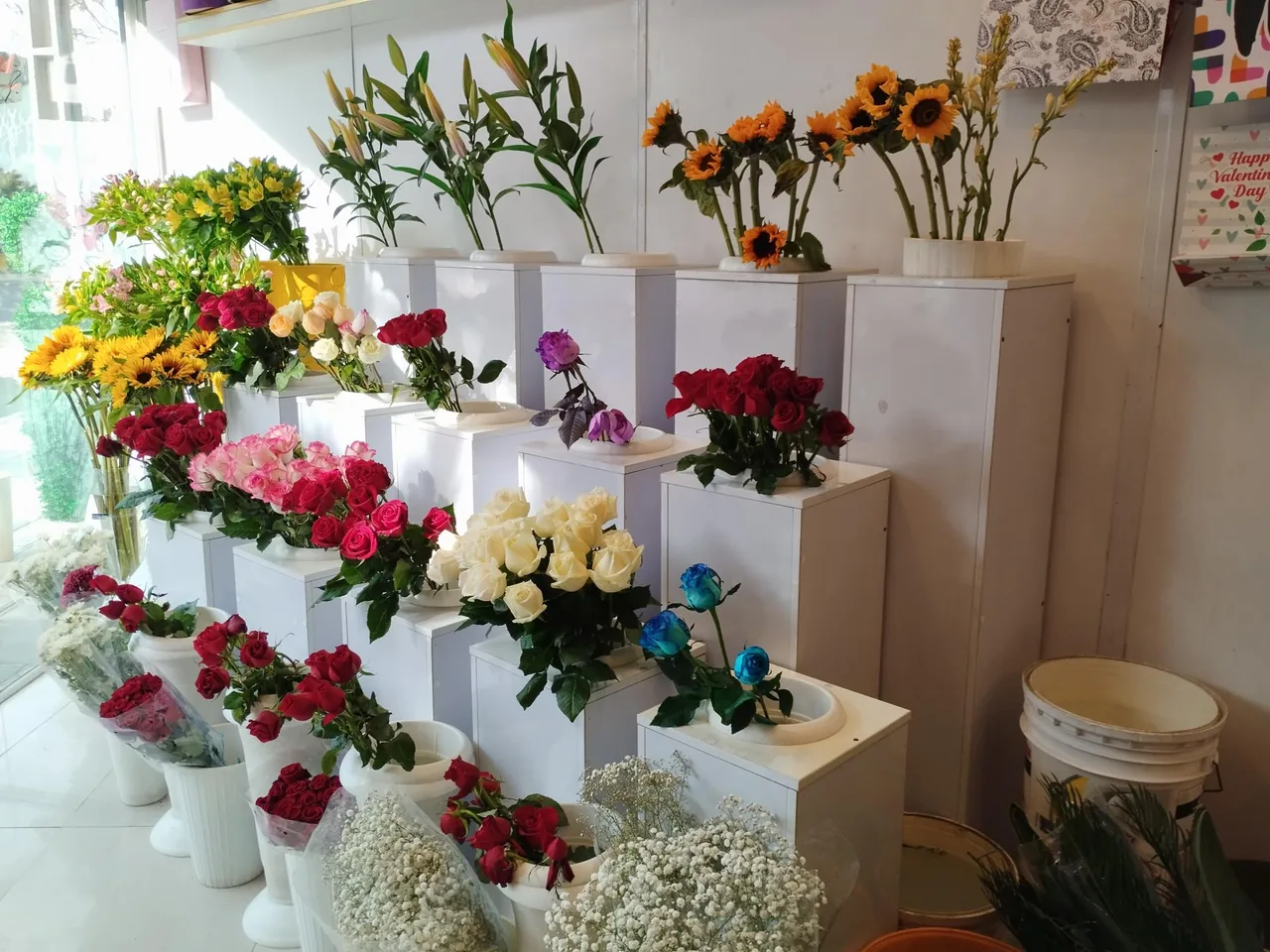 گل فروشی ندرلند - تصویر 2