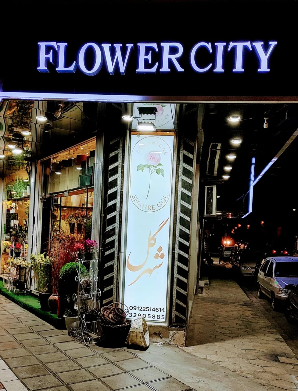 فروشگاه شهر گل - تصویر 2