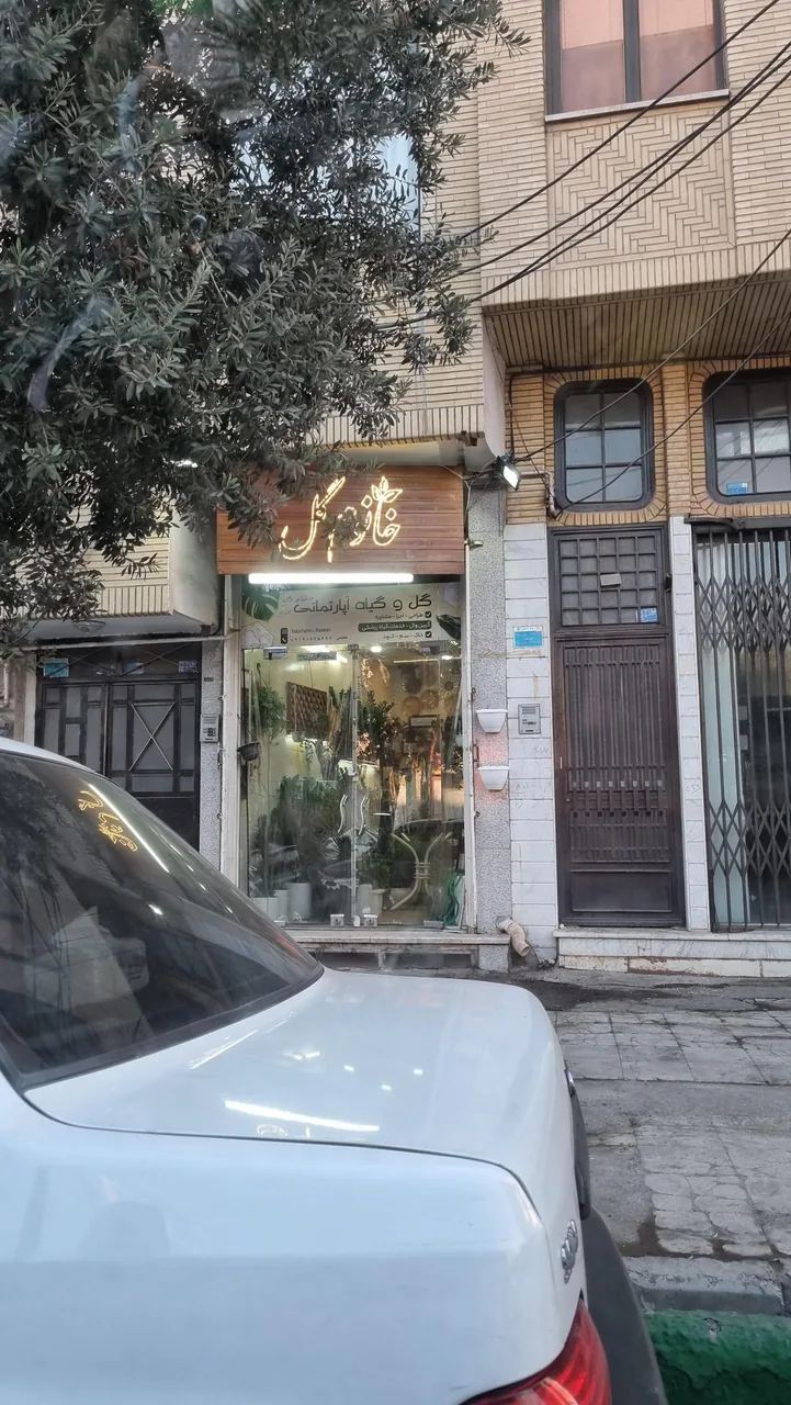 خانوم گل