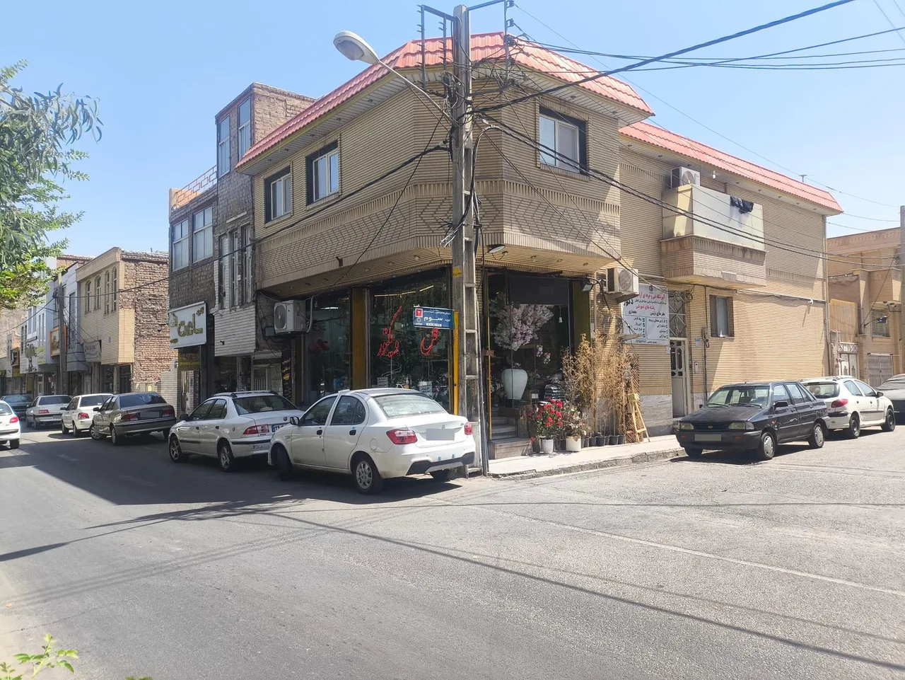 گل ویکتور - تصویر 2