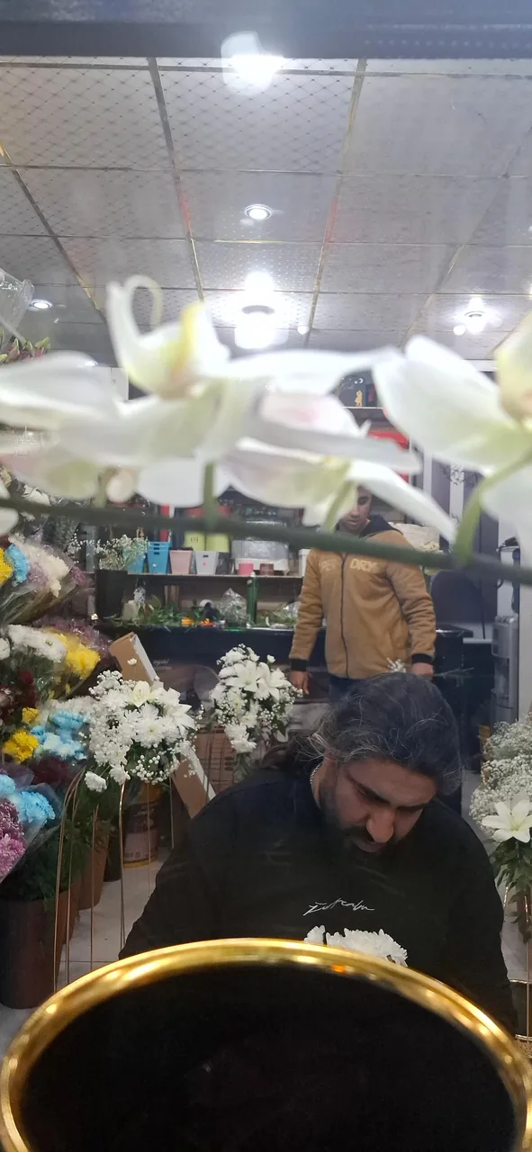 گل ارکید‌ه - تصویر 4