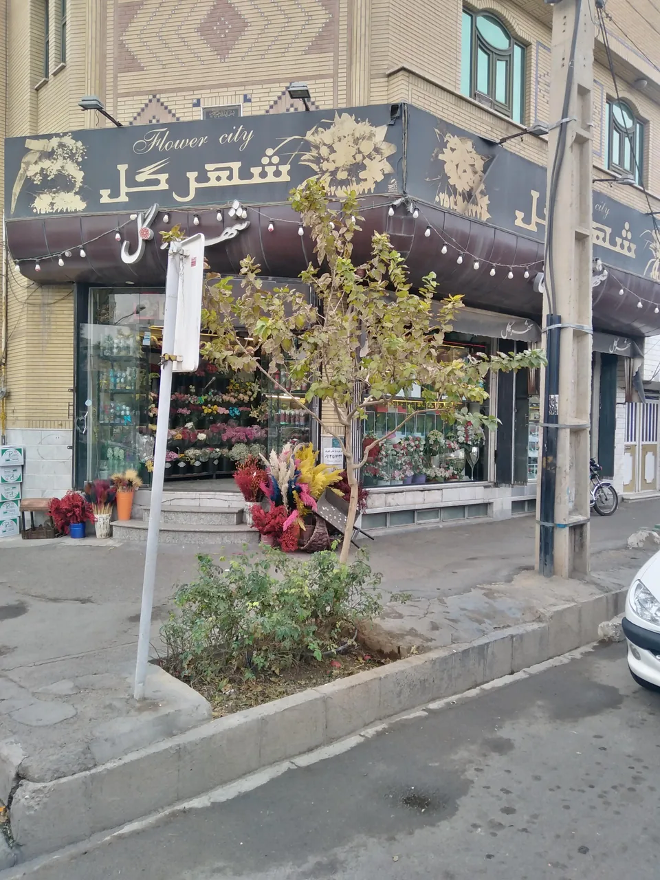 گل فروشی شهر گل