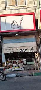 گل مریم